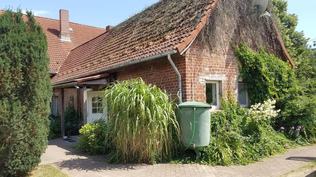Kranich Apartment Federow